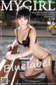 MyGirl Vol.100: Mixed model (1071 photos) P672 No.acd633